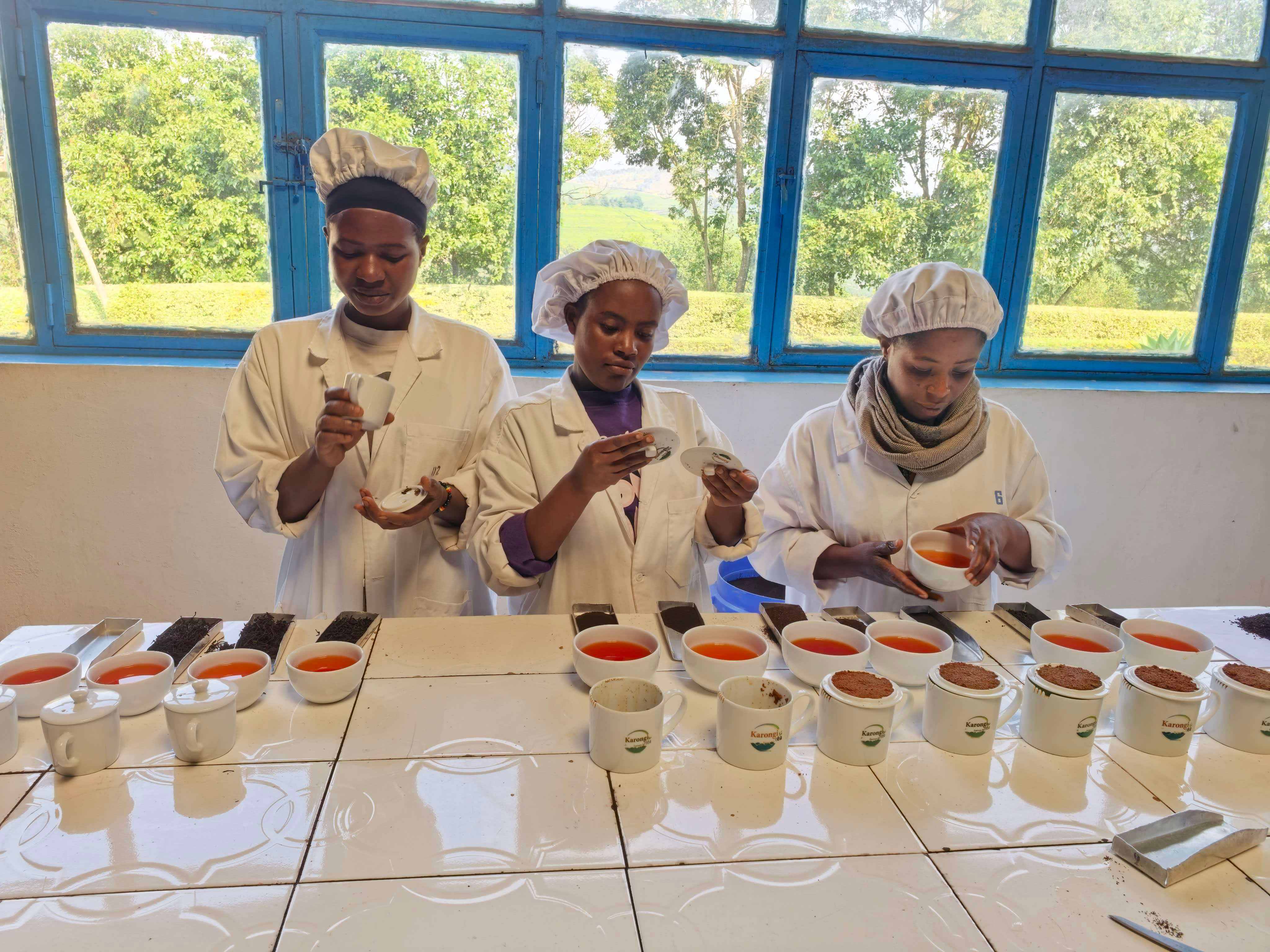 Izuba Tea is an organic tea producer & factory in Karongi, Rwanda at 2,400m. EU organic standards, zero-residue testing, 53,000m² facility, exporting to 20+ countries.